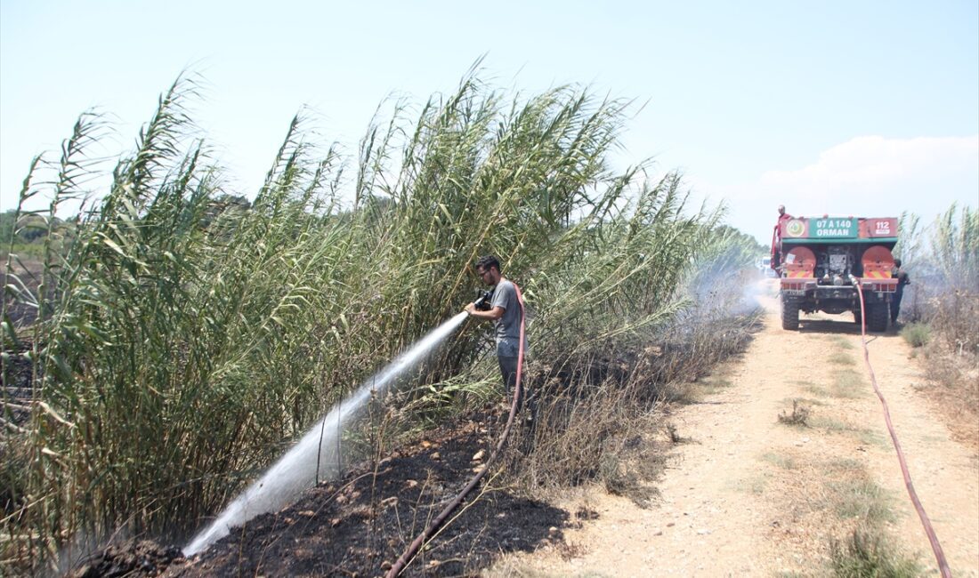 ANTALYA (AA) – Antalya’da