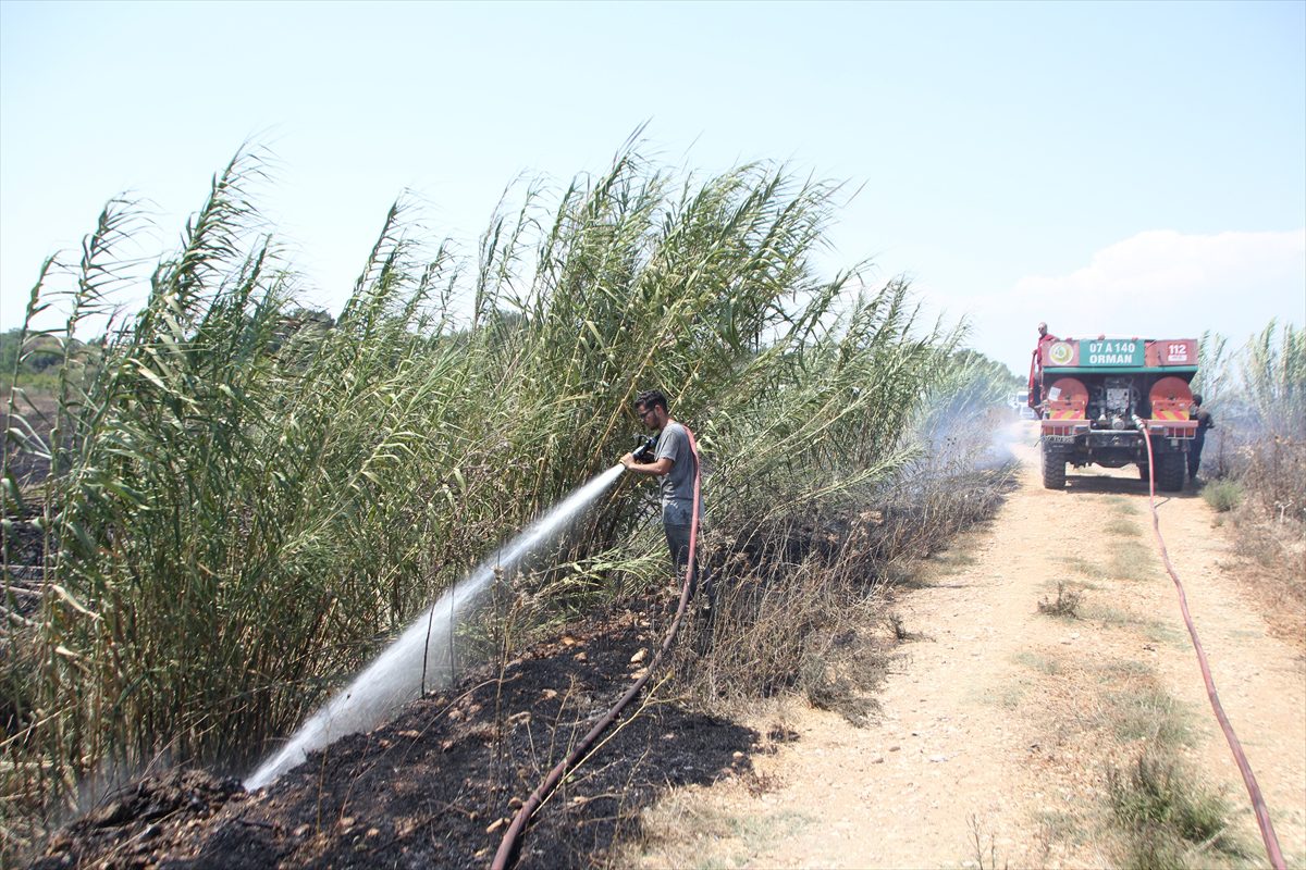 Antalya’da sazlık alanda çıkıp tarım arazisine sıçrayan yangın söndürüldü