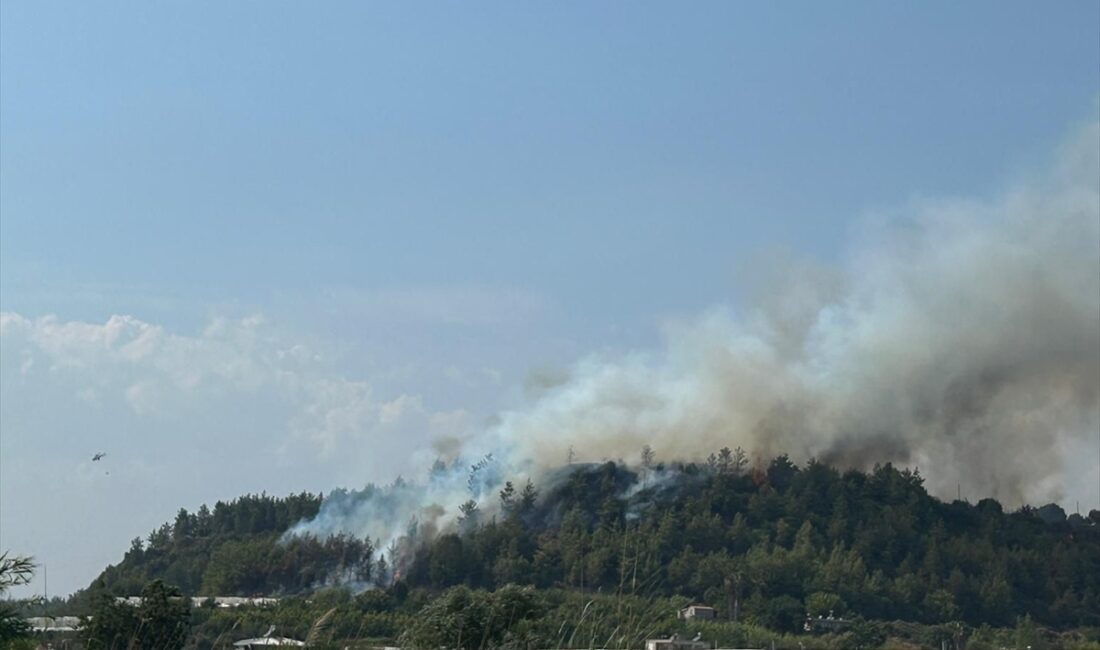 ANTALYA (AA) – Antalya’nın