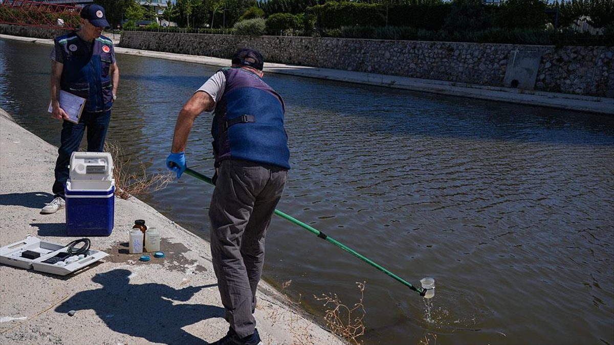 Balık ölümleri görüldüğü İzmir Körfezi’nde yoğun denetim