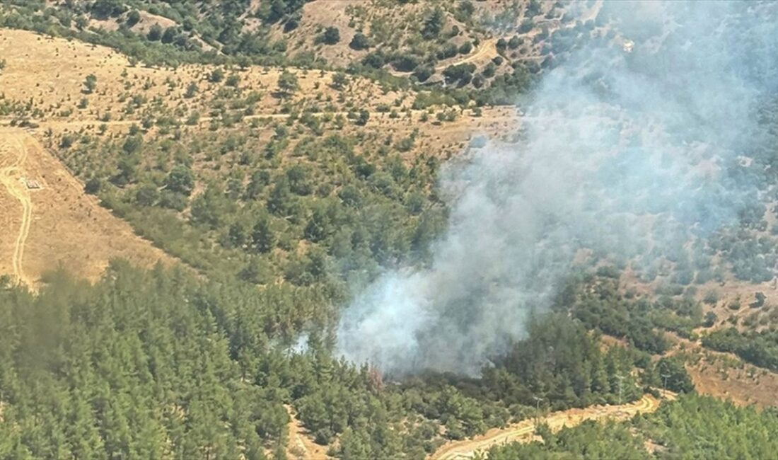 Balıkesir'in Dursunbey ilçesinde çıkan