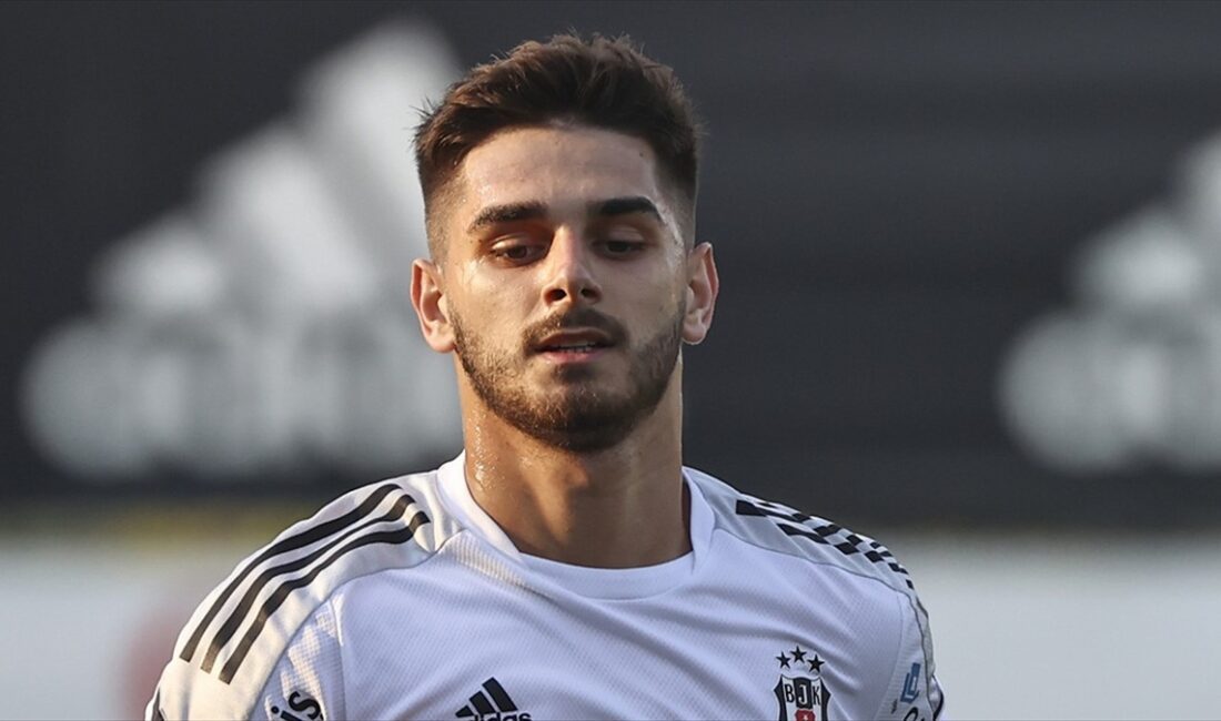 Beşiktaş, Ajdin Hasic'in Polonya