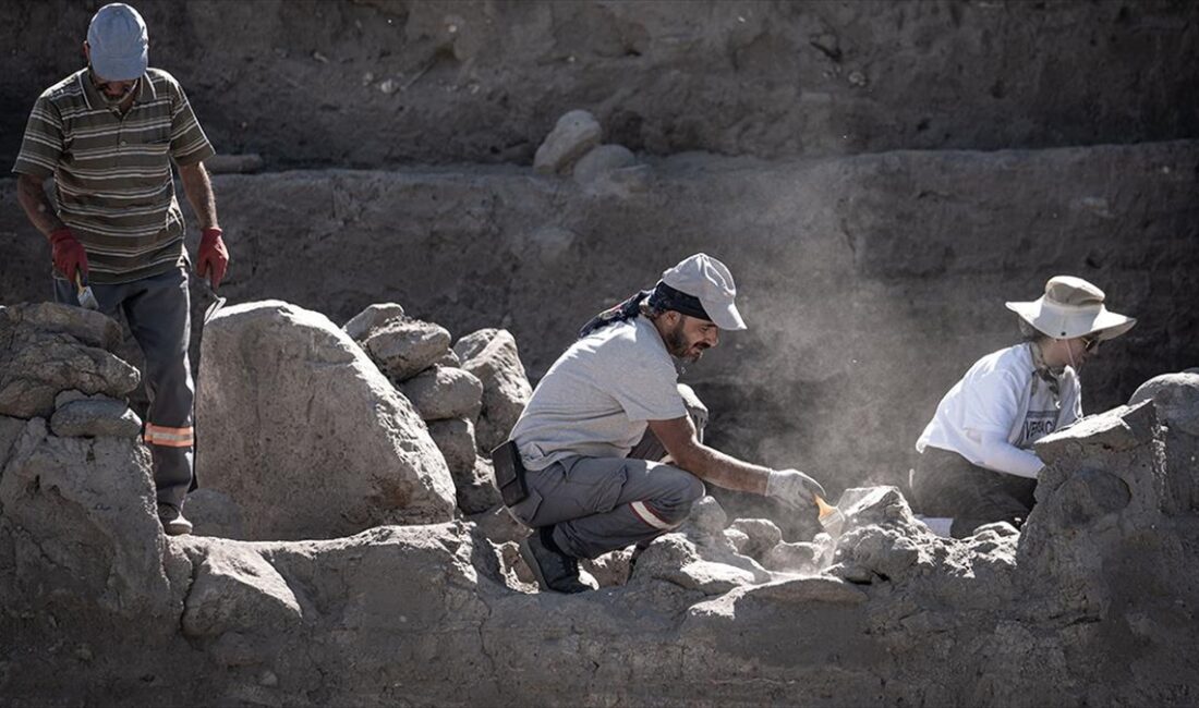 Erzurum'da, Değirmenler Höyük'ünde başlatılan