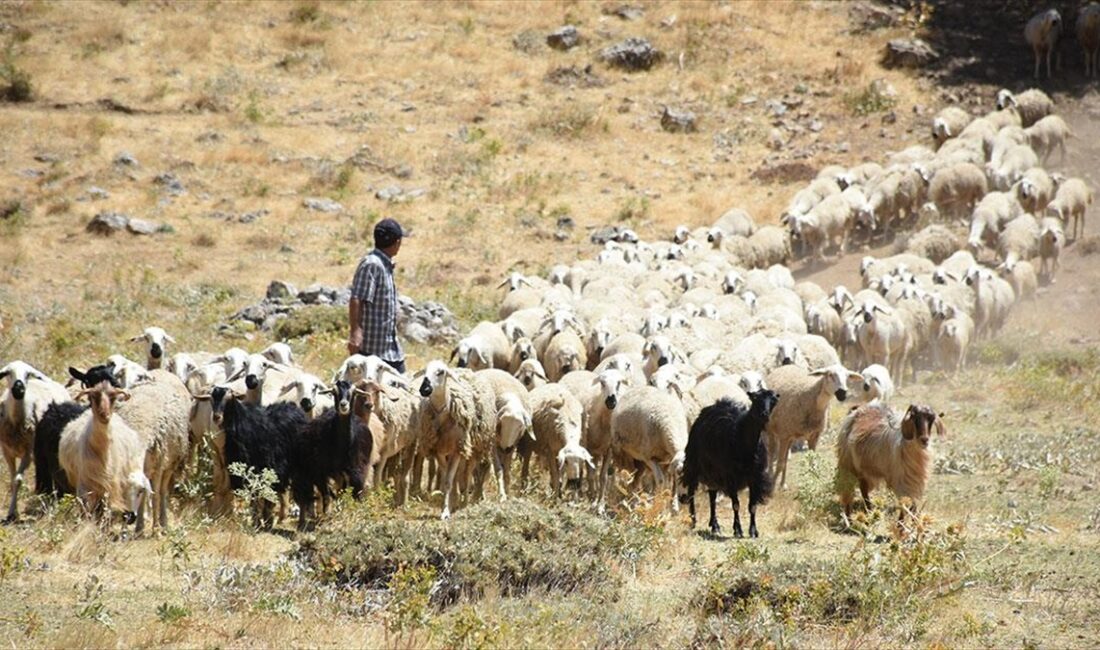 MALATYA (AA) – Depremden