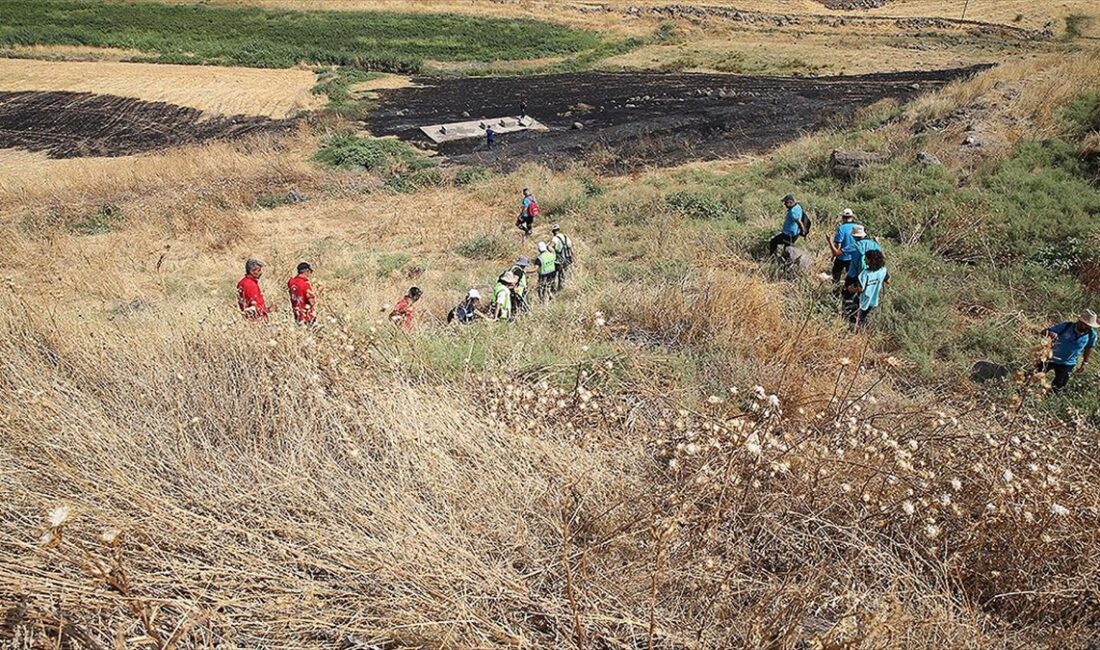 Diyarbakır'ın merkez Bağlar ilçesinde