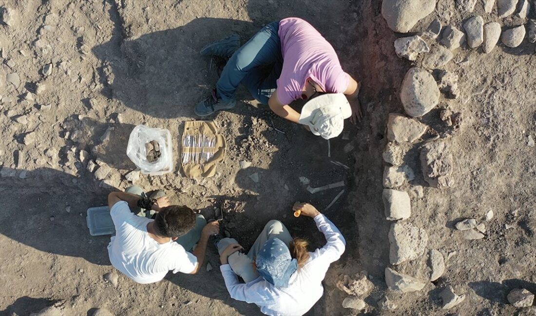 Kahramanmaraş'ın Türkoğlu ilçesindeki Domuztepe