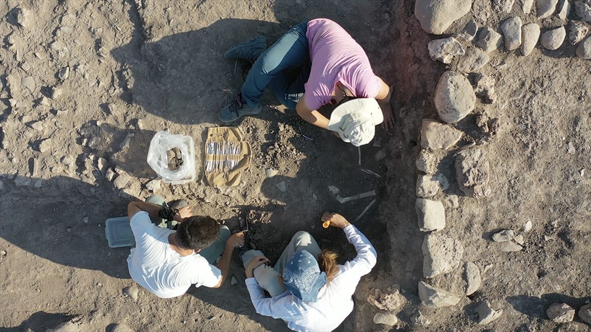 Domuztepe Höyüğü’nde 7 bin 600 yıllık çocuk ve bebek iskeletleri bulundu