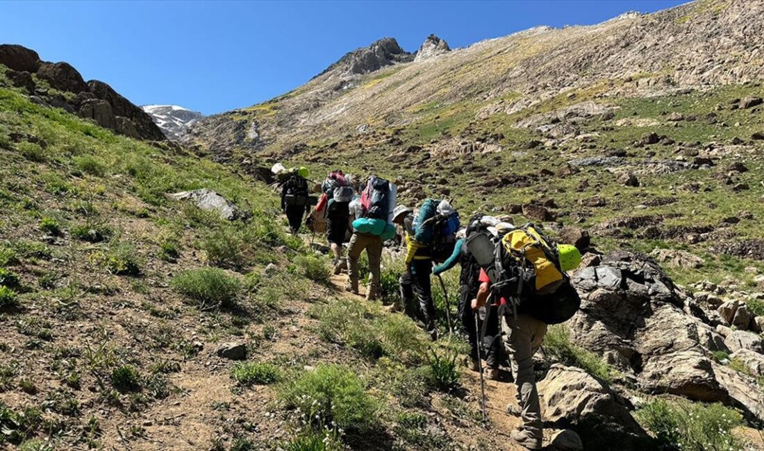 Hakkari'de, il dışından gelen