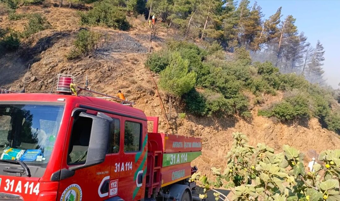 Hatay'ın Kırıkhan ilçesinde ormanlık