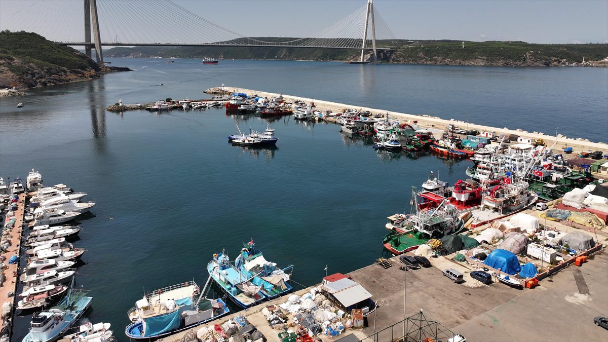 İstanbul’da balıkçılar yeni sezonda palamut bolluğu bekliyor