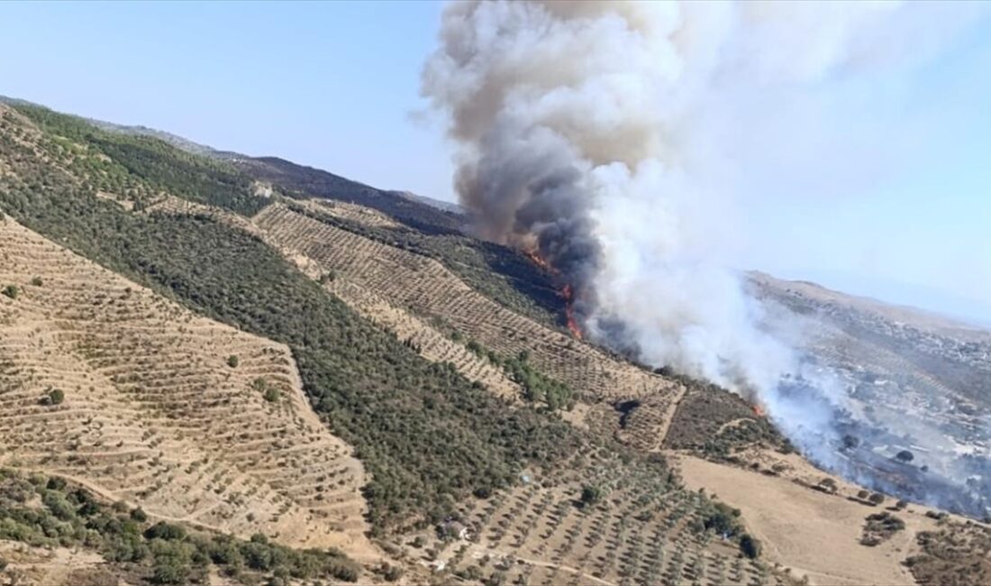 İzmir'in Urla ilçesinde makilik