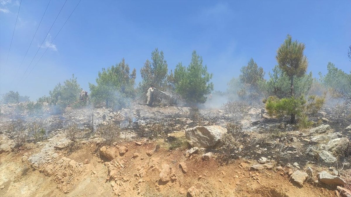 Mersin’de 4 noktada çıkan orman yangınları söndürüldü