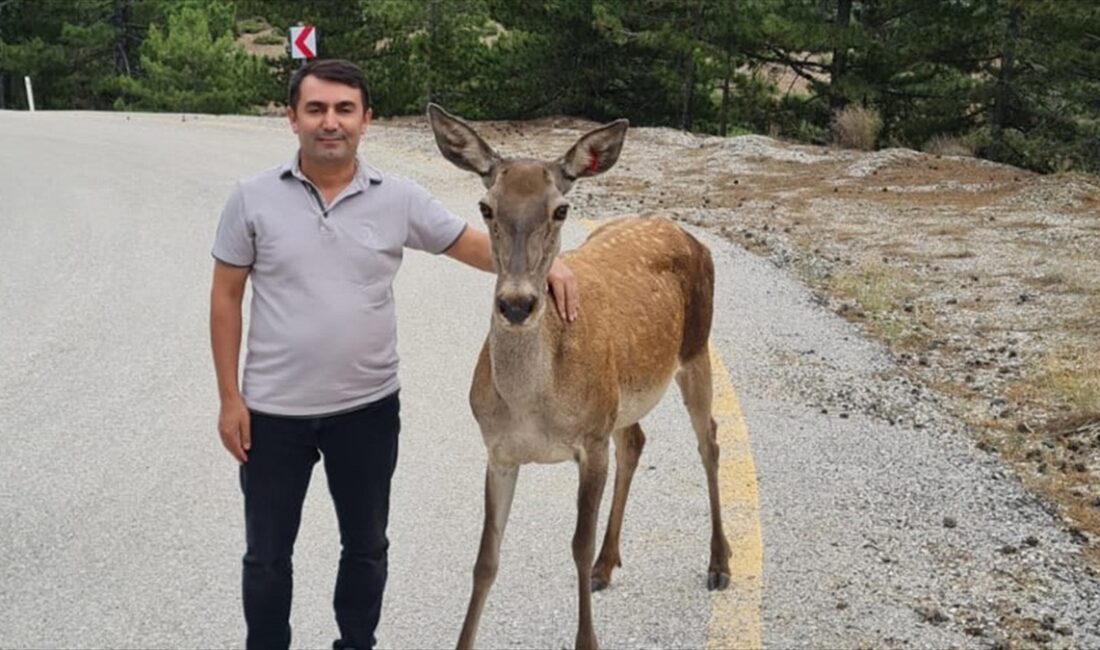 Burdur'daki Salda Gölü'nün çevresindeki