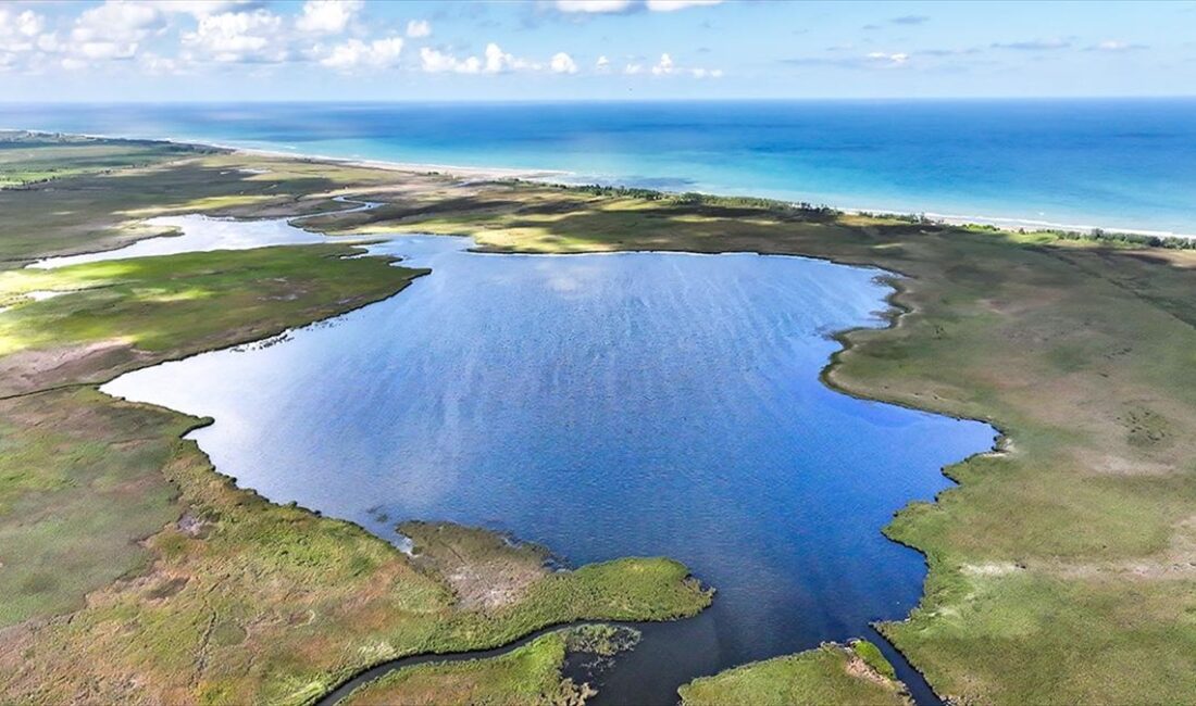 Samsun'un Terme ilçesinde bulunan