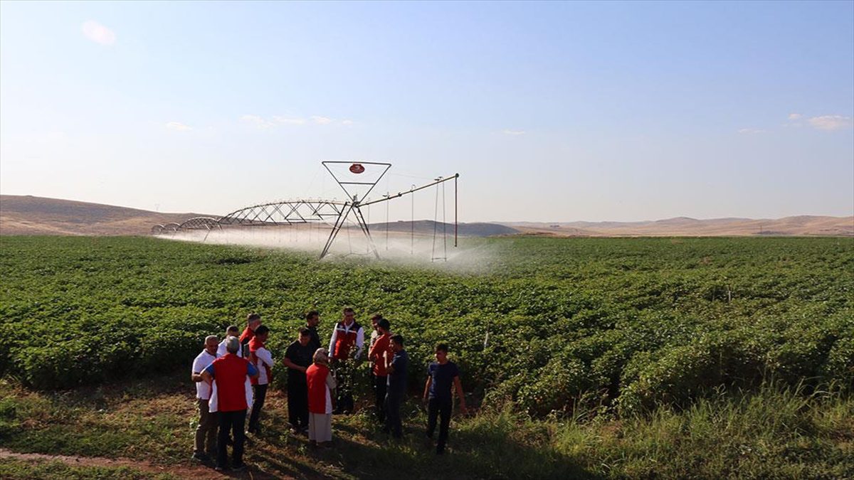 Şanlıurfa’daki üreticiler, anlık ulaştıkları ziraatçıların reçetesiyle bahçelerindeki sorunu çözüyor