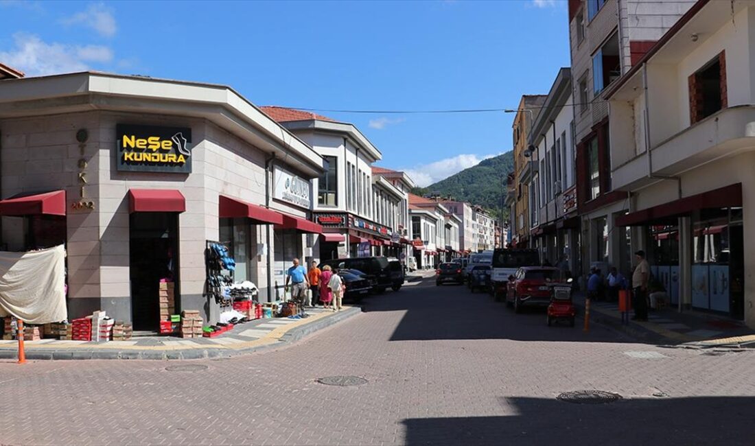 Kastamonu'nun Bozkurt ilçesinde 11