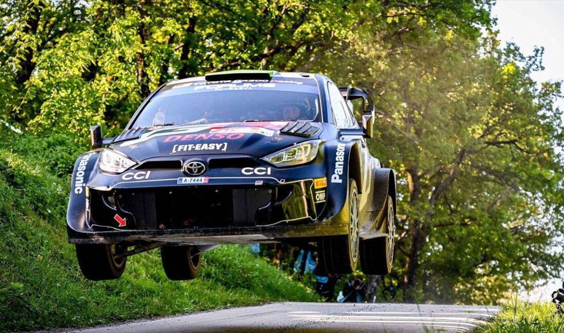 Dünya Ralli Şampiyonası'nda (WRC)