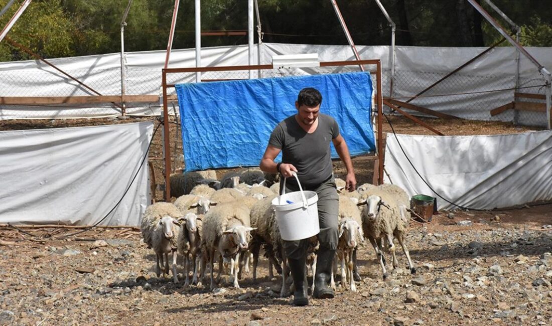 Almanya'dan Türkiye'ye kesin dönüş