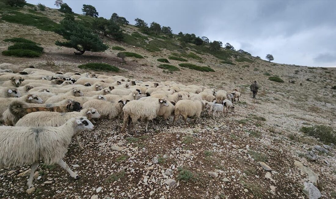 Amasya'nın Suluova ilçesinde yaz