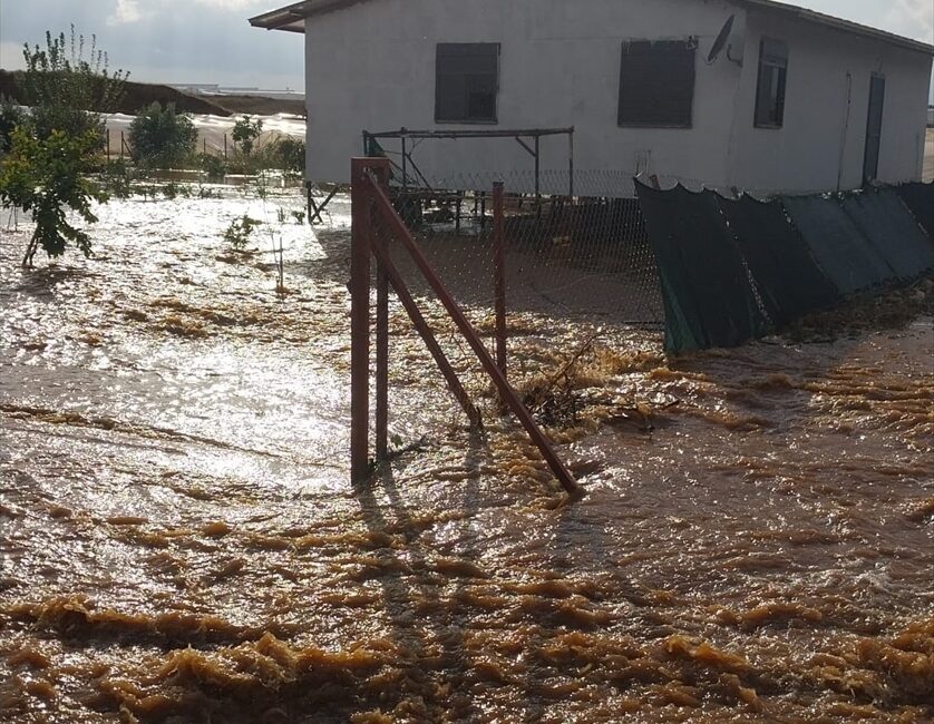 ANTALYA (AA) – Antalya'da