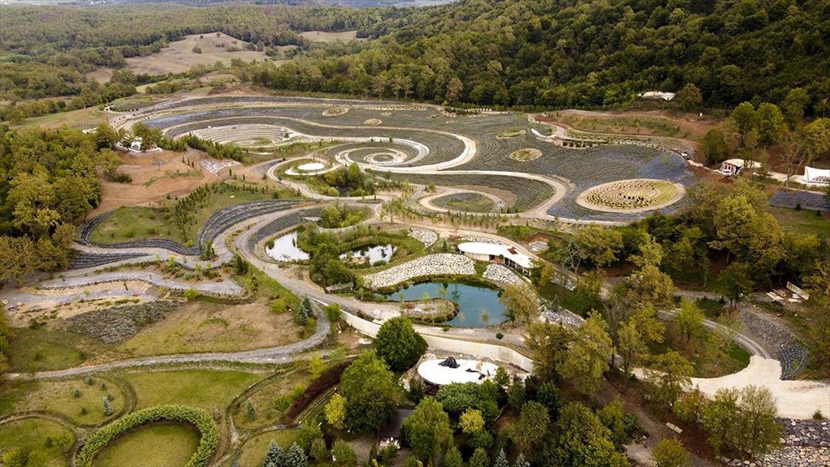 Bosna Hersek'te bir parkın peyzajı Van Gogh'un eşsiz “Yıldızlı Gece” eserinden bire bir uyarlandı