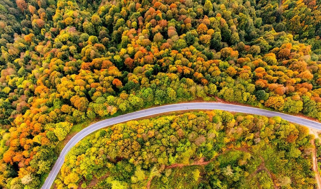  Sakarya'nın Kocaali ve