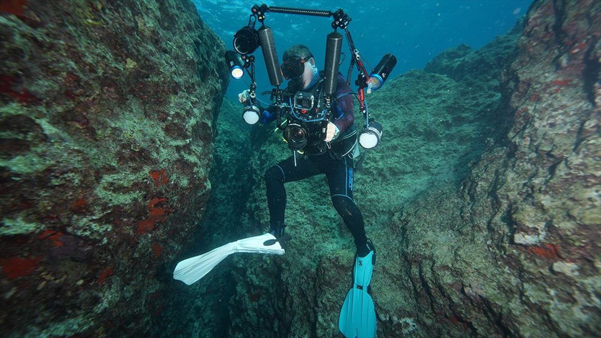 Su altı fotoğrafçıları Akdeniz’in derinliklerindeki güzellikleri görüntülemek için dalıyor