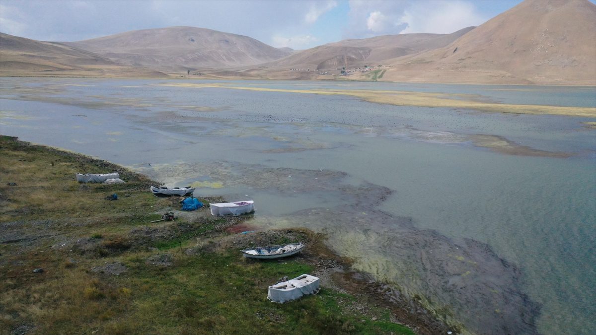 Suyu çekilen ve yosun tutan Balık Gölü'nde “canlı yaşamı” tehlikede