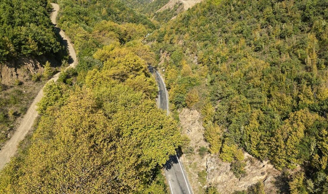 Tekirdağ'daki Ganos Dağı'nın eteklerindeki