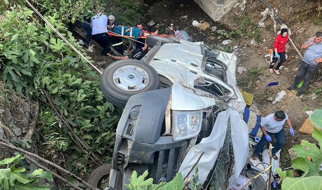 Tokat'ın Niksar ilçesinde fındık