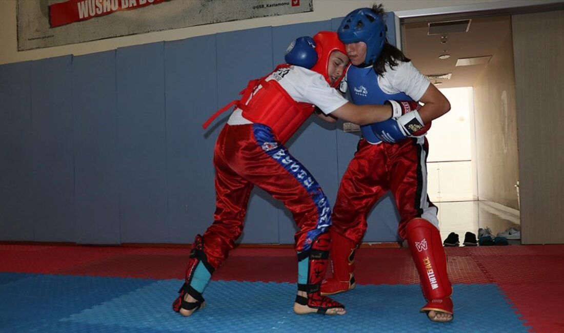 KASTAMONU (AA) – Wushu