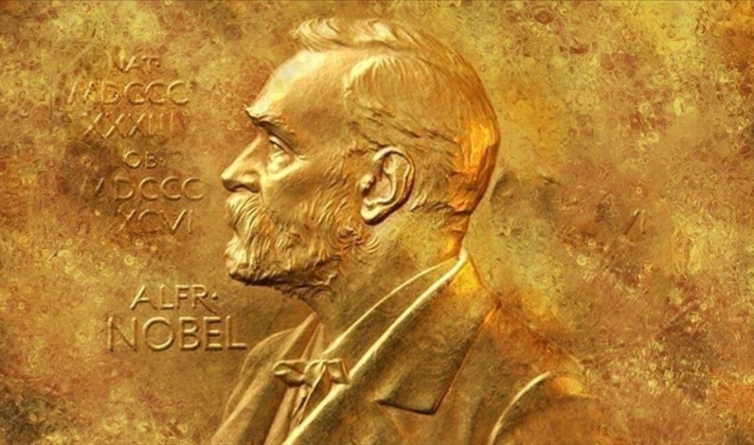 2024 Nobel Ekonomi Ödülü'ne,