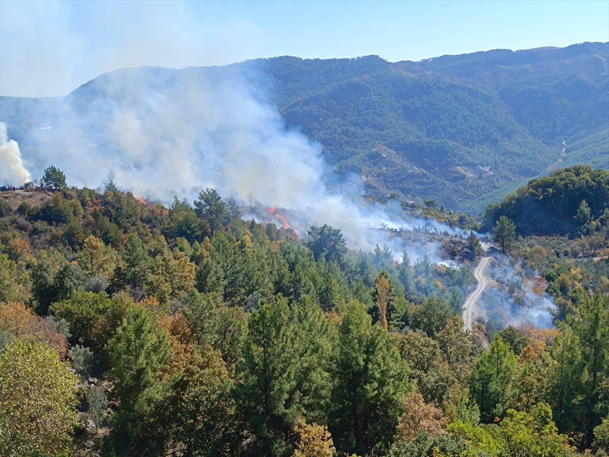 Alanya'da zirai alanda çıkan yangın kontrol altına alındı