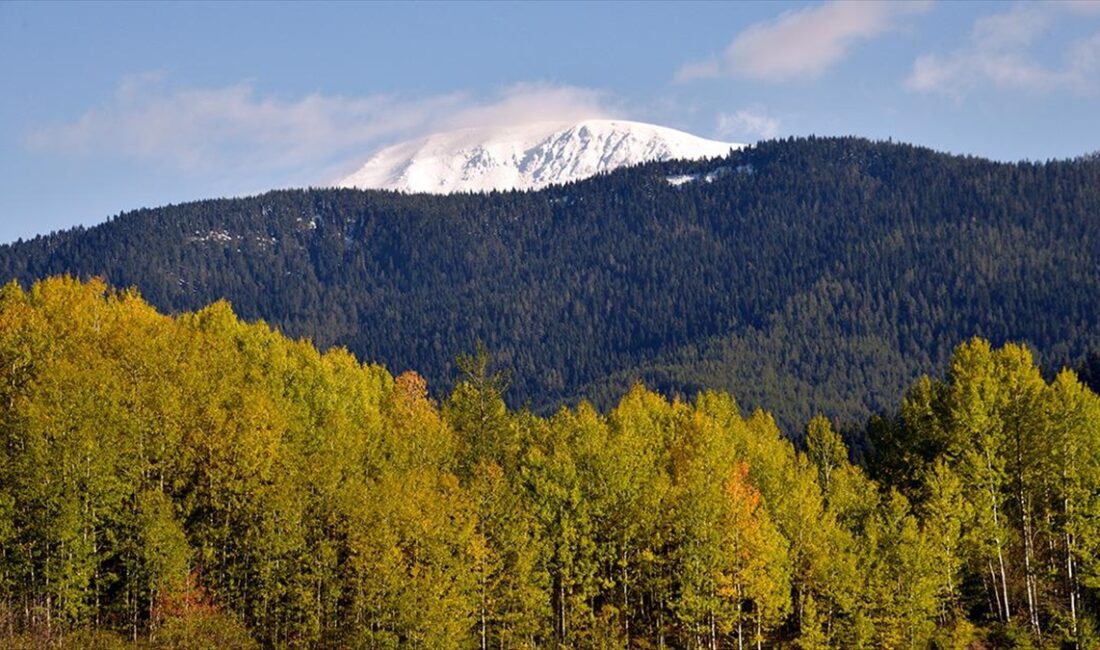 "Ilgaz Anadolu'nun sen yüce