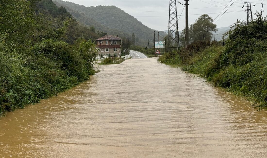 BARTIN (AA) – Bartın