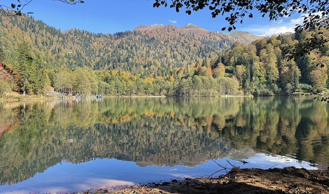 Artvin'de yerli ve yabancı