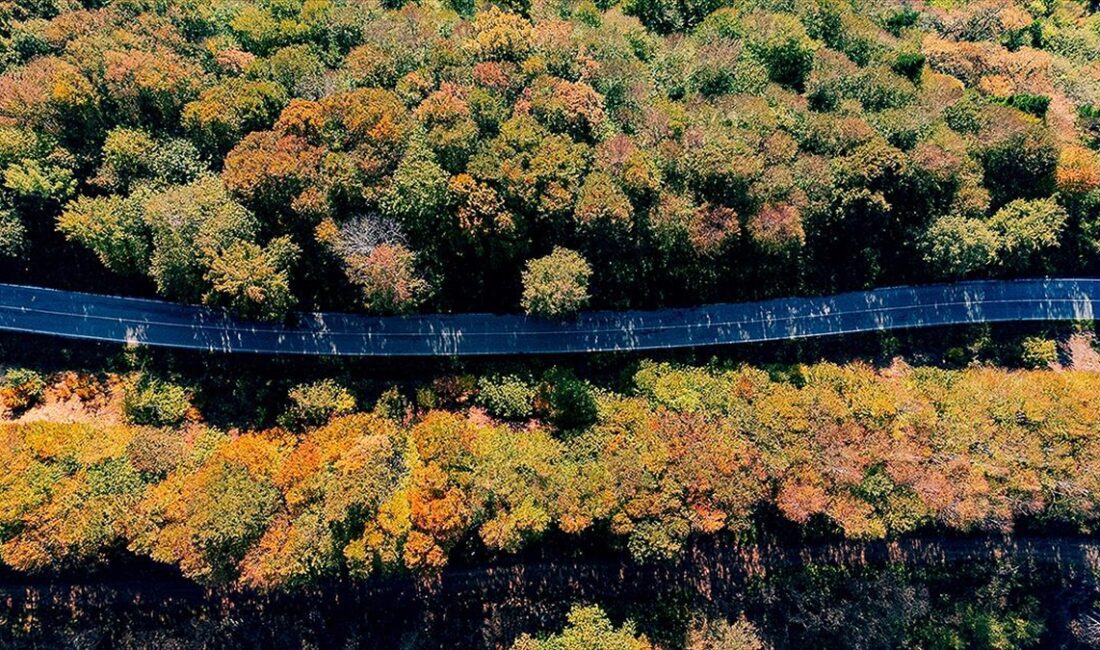 Sakarya'nın Kocaali ve Hendek