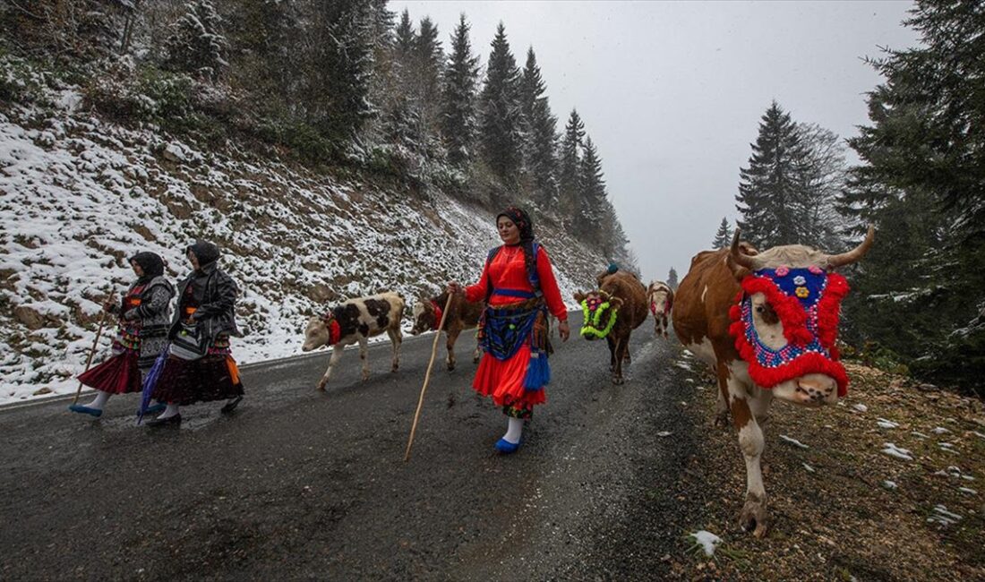 Doğu Karadeniz'de yaz başında