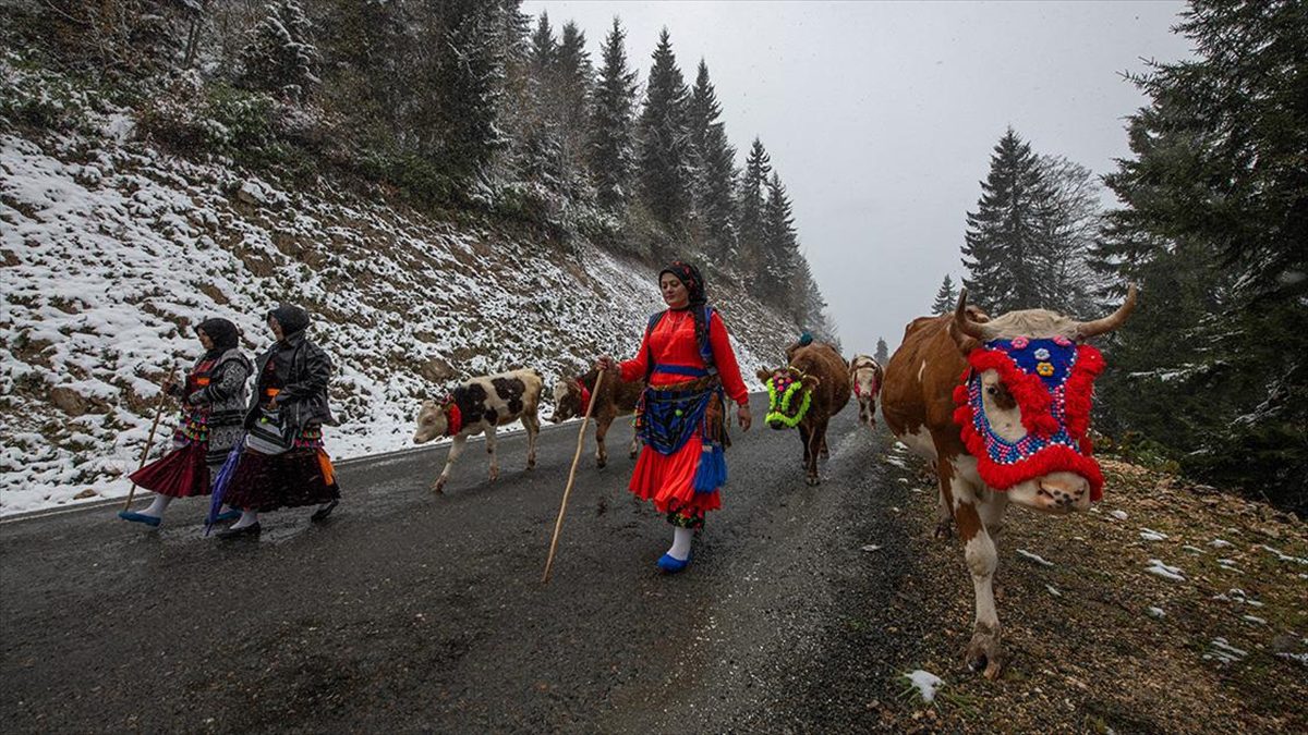 Doğu Karadeniz'de kar yağışı yaylalardan dönüşü hızlandırdı