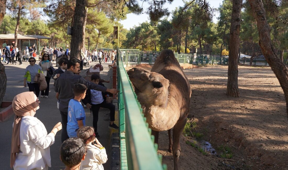 Büyüklüğü ve barındırdığı hayvan