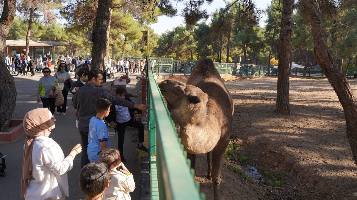 Gaziantep Doğal Yaşam Parkı'nı yılbaşından bu yana 4,2 milyon ziyaretçi gezdi