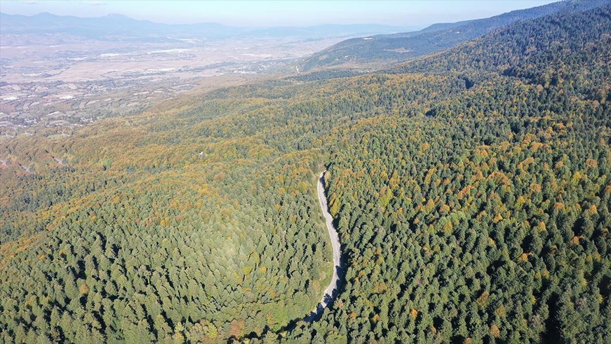 Gölcük Tabiat Parkı ve çevresi hazan mevsiminin renkleriyle süslendi