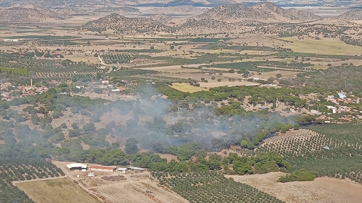 İzmir'de tarım arazisinde çıkan yangın ormana sıçradı