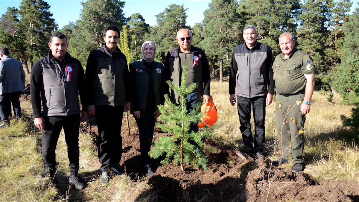 Kars’ta Sarıkamış ve Çanakkale şehitleri anısına hatıra ormanı oluşturuldu