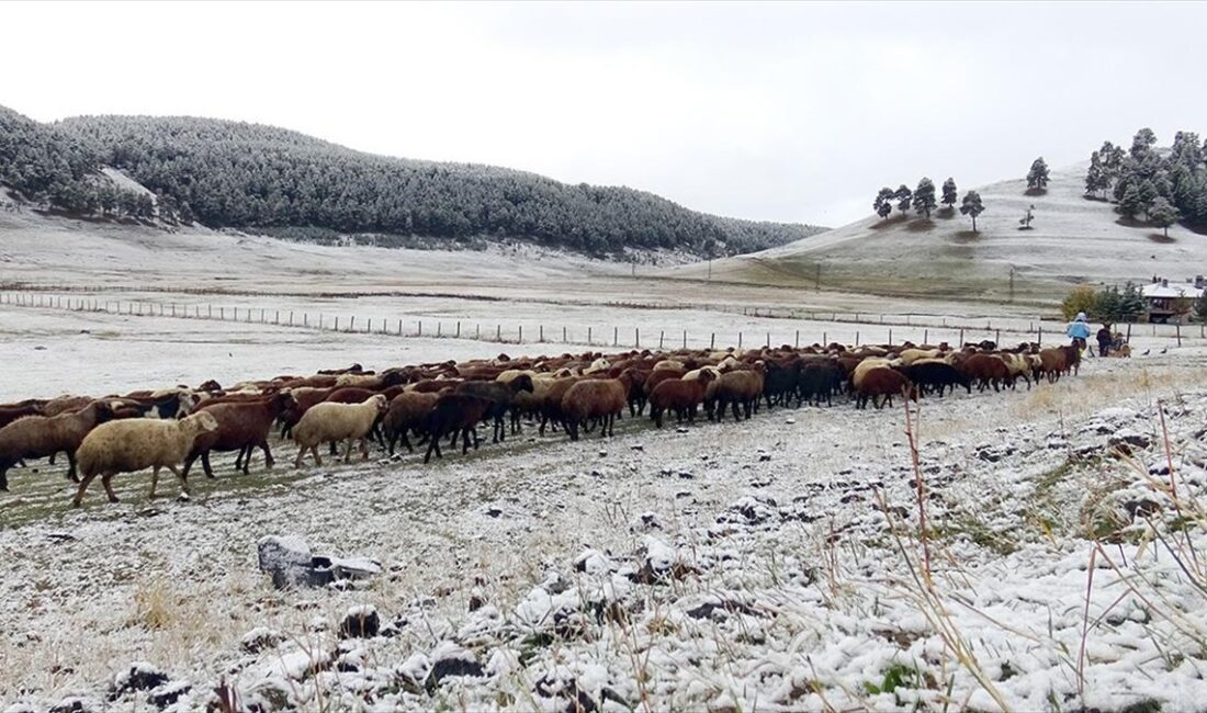 Kars'ta şehir merkezine mevsimin