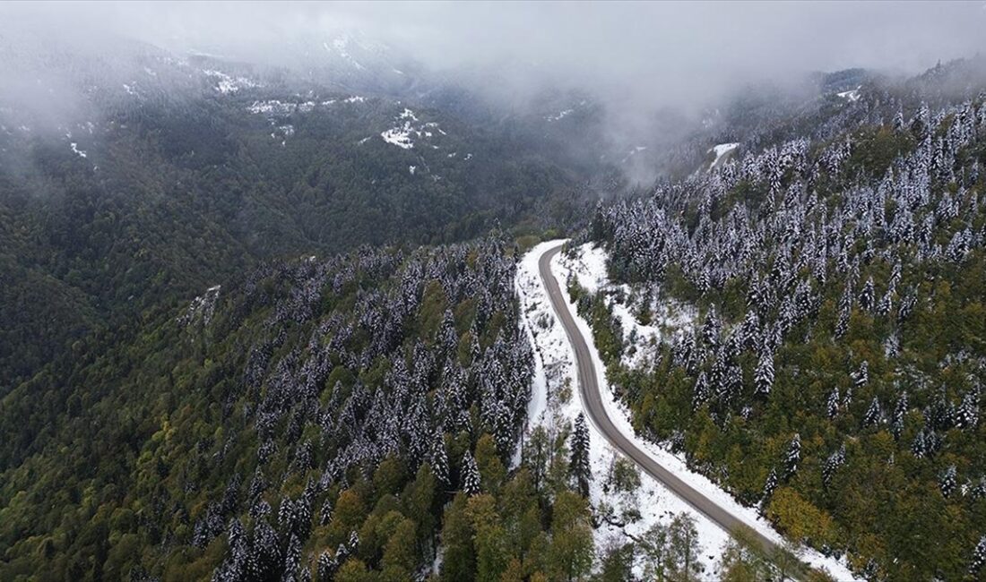 Kastamonu'da ağaçların sonbaharın renklerine