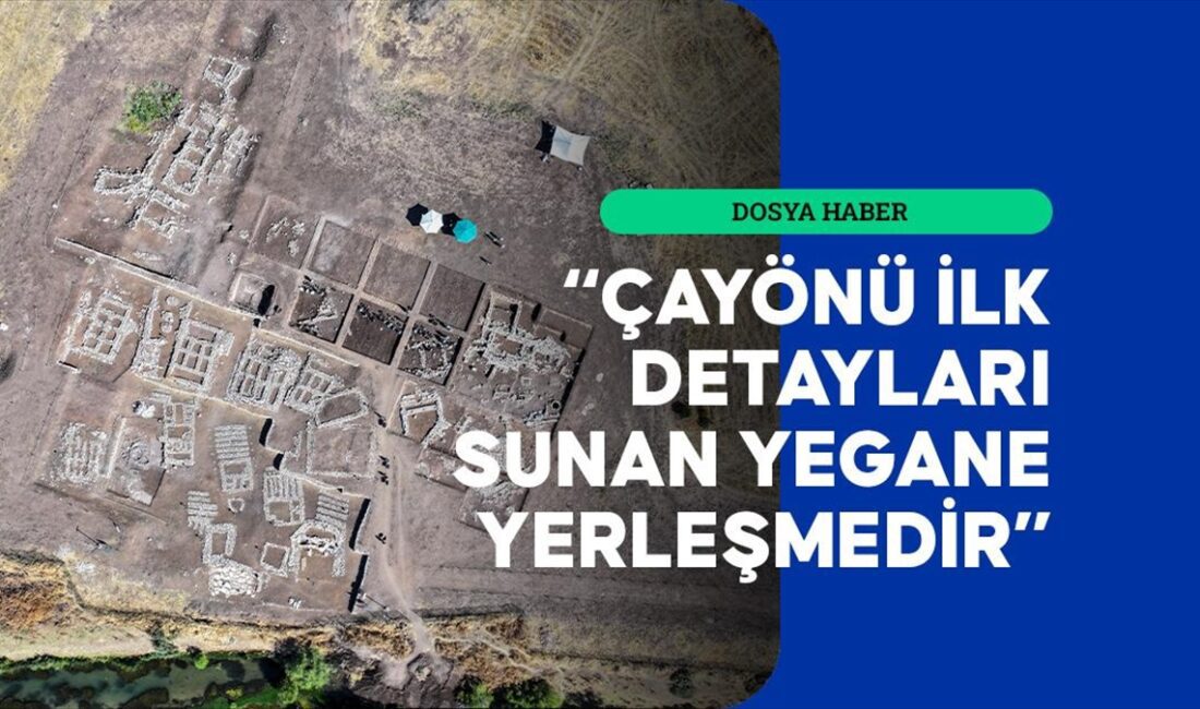 Diyarbakır'ın Ergani ilçesindeki 12