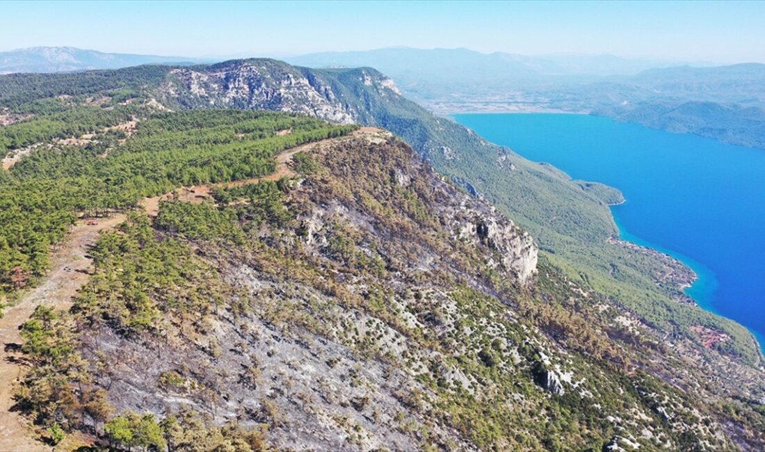 Menteşe'de ormancılar 6 kilometre “yangın şeridi” açarak alevlerin önünü kesti