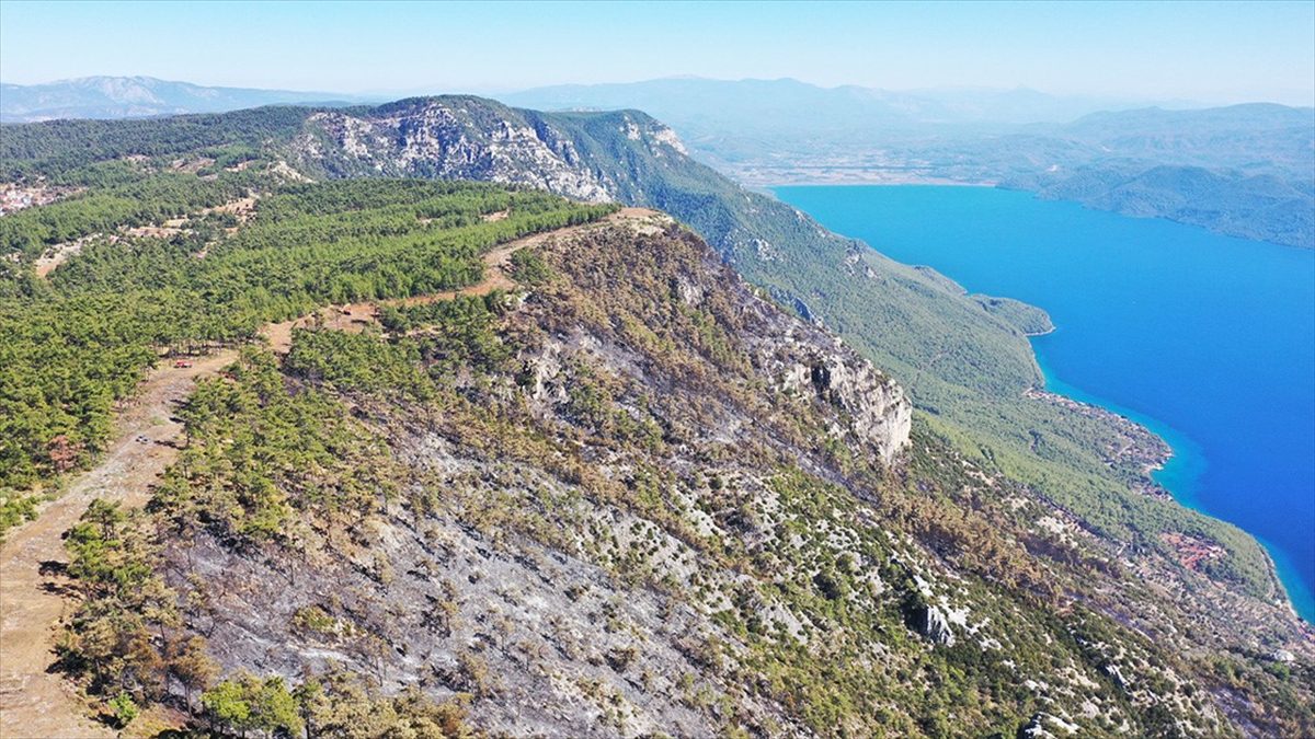 Menteşe'de ormancılar 6 kilometre “yangın şeridi” açarak alevlerin önünü kesti