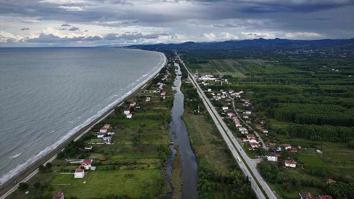 Samsun'daki “Miliç Lagünü” doğal güzellikleri ve biyolojik çeşitliliğiyle dikkati çekiyor